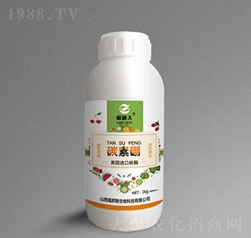 碳素硼-根施夫-福邦斯