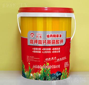 ��⛸��}�S�����-�G��ꖲ˲�