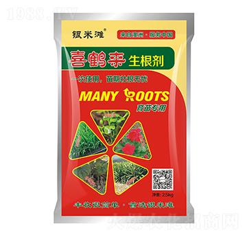 ϲ�Q��������-�y�מ�����