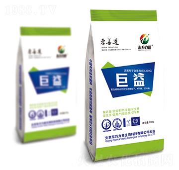 ����΢�������-Т�Ƶ�-�|����ԭ