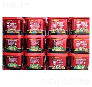 ����(d��ng)��-ǰ�طʘI(y��)