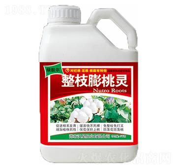 整枝膨桃靈-沃星肥業(yè)