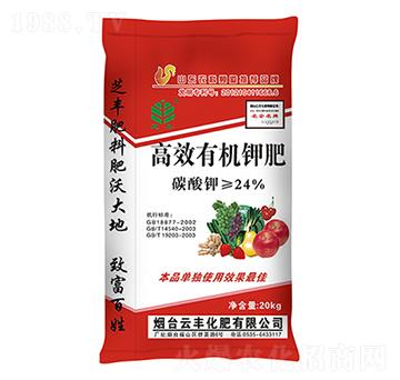 �ЙC(j��)⛷�-֥�S-���S����