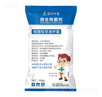 ΢�������-�Z���~��-�Z���S