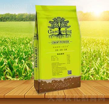 �ͺϷ���20-20-20-����˹�ء��@ˇ��-����˹��