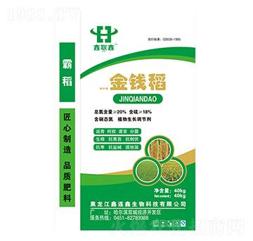 ���X(qi��n)��-��(li��n)��-�й��߿�