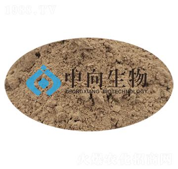 �ЙC�ʰl(f��)�̈́�-��������