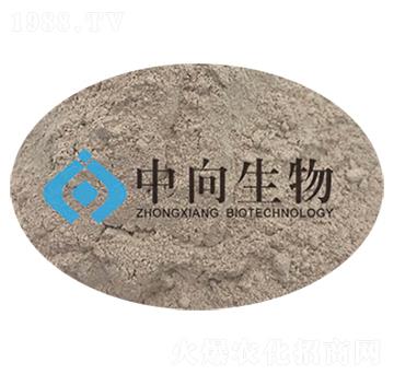 �|���߰׽���-��������