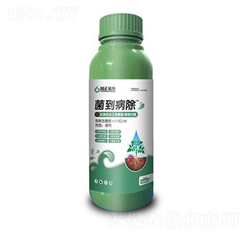 ����������ȫ��������������������}��-�������r(n��ng)