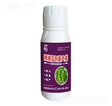 �������L(zh��ng)�����-����-�֮��