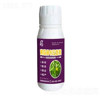 �S�����L(zh��ng)��ֱ��-����-�֮��