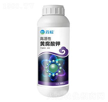 �߻����S�����-����