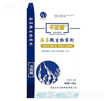 ����΢�������-ǧ���