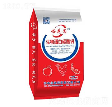 ���ﵰ��̼���}-�����A-��ʩ��