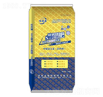 ���}�V��-�����A-��ʩ��