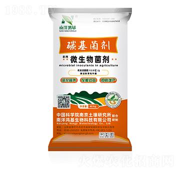 ̼���������w����-��������