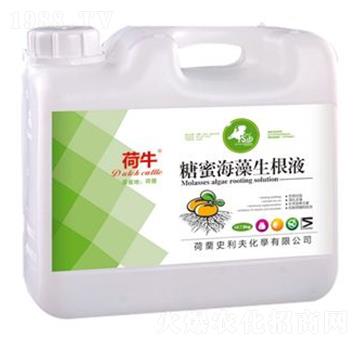 ���ۺ�������Һ-��ţ-ʷ����