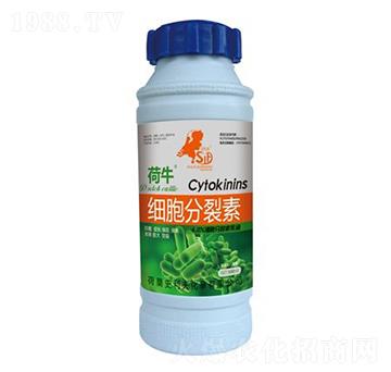 ��(x��)��������-��ţ-ʷ����