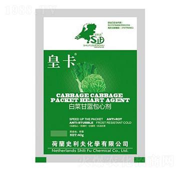 �ײ˸��{(l��n)���Ą�-�ʿ�-ʷ����