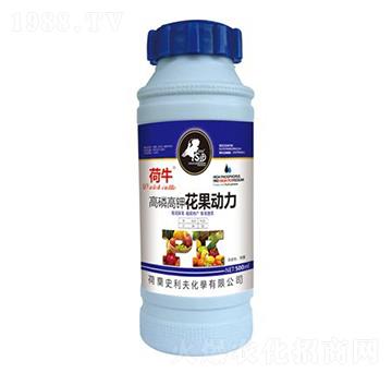 ���׸�⛻�����(d��ng)��-��ţ-ʷ����