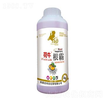 ����-��ţ-ʷ����