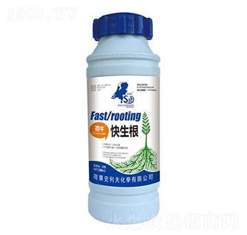 ����������-ʷ����