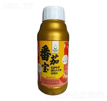 GPlT�����R�R�l(f��)�T��(d��o)��-���ь�-�Wʥ�r(n��ng)�I(y��)