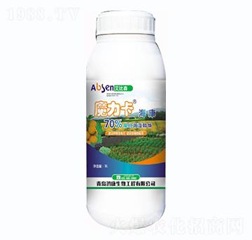 ħ��������-����ɭ-��������