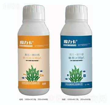 ���塤�Ǵ��}+���塤�Ǵ���-��������