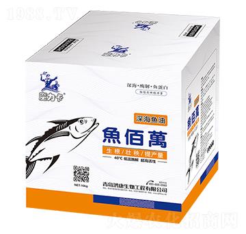 �~���f(w��n)-��������