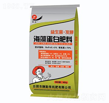 ���嵰�׷���-����