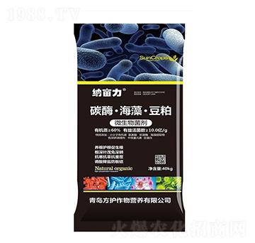 ̼ø���嶹��΢�������-�{����-���o(h��)����