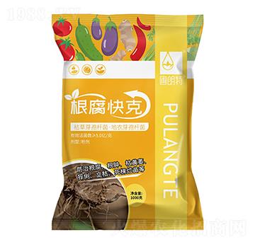 �������-������