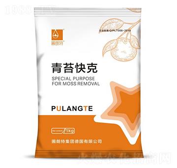 ��̦���-������