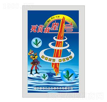 �������1̖-��ķ�r(n��ng)�I(y��)