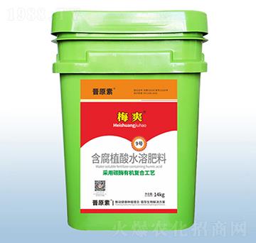 ����ֲ��ˮ�ܷ���-÷ˬ-�ڰ�