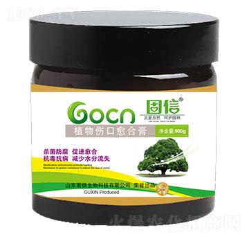 植物傷口愈合膏-固信生物