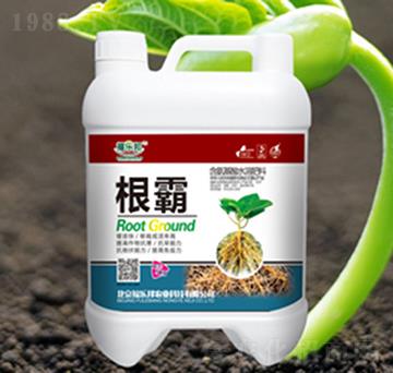 ����-����(l��)��