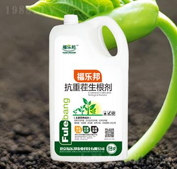 ���ز�������-����(l��)��