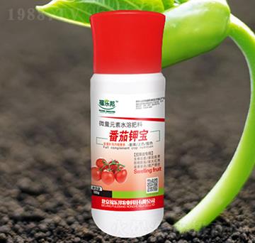 ެ��⛌�-����(l��)��