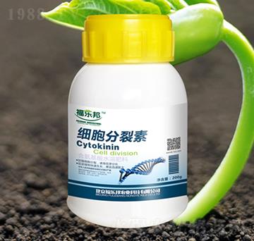 ��(x��)��������-����(l��)��