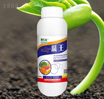 ����-����(l��)��