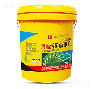 海藻活菌魚蛋白-圣氏潤