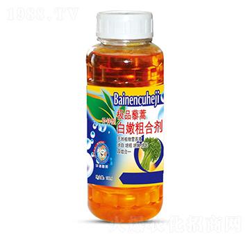 白嫩粗合劑-圣氏潤