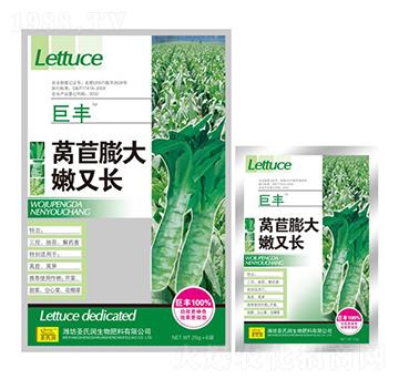 萵苣膨大嫩又長-圣氏潤
