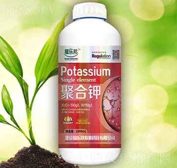 �ۺ��-����(l��)��