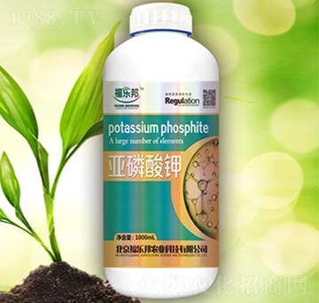 �������-����(l��)��