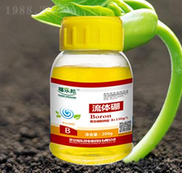 200g���w��-����(l��)��