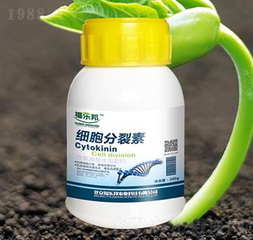 200g��(x��)��������-����(l��)��