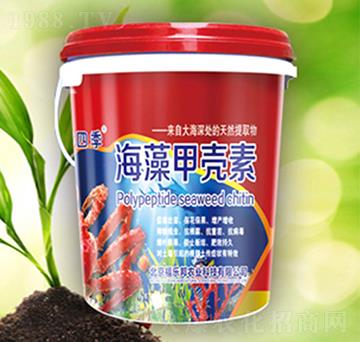 ����ך���-����(l��)��